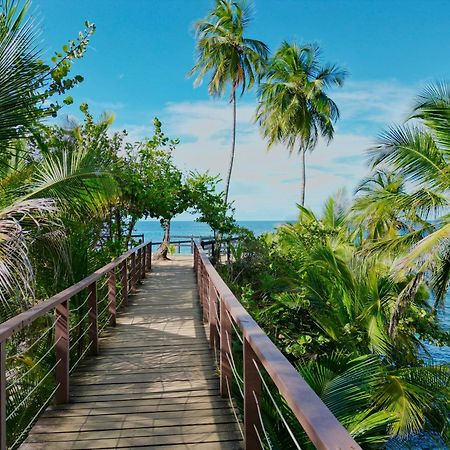 Oso Perezoso Pool Villa Puerto Viejo de Talamanca 외부 사진
