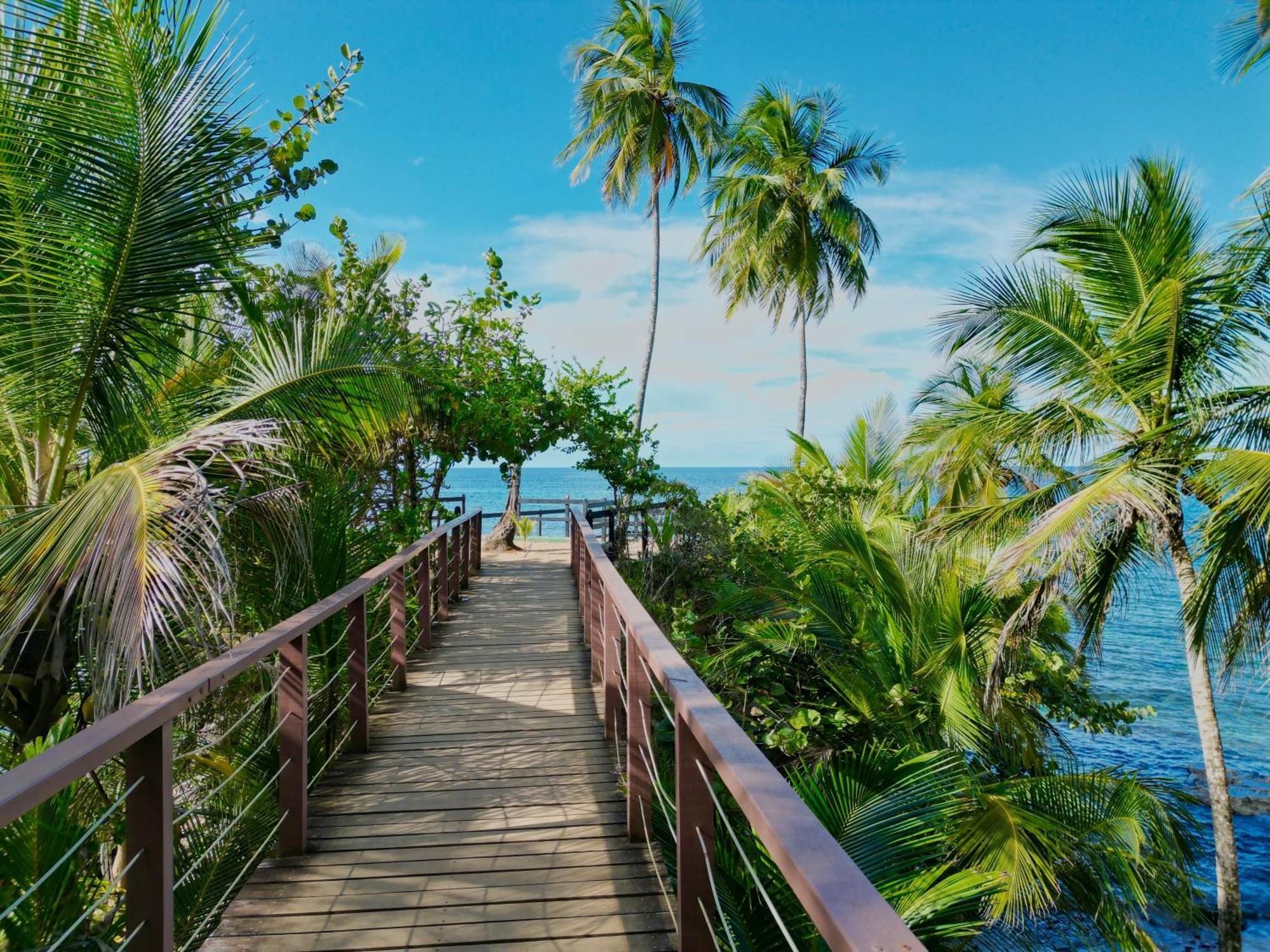 Oso Perezoso Pool Villa Puerto Viejo de Talamanca 외부 사진