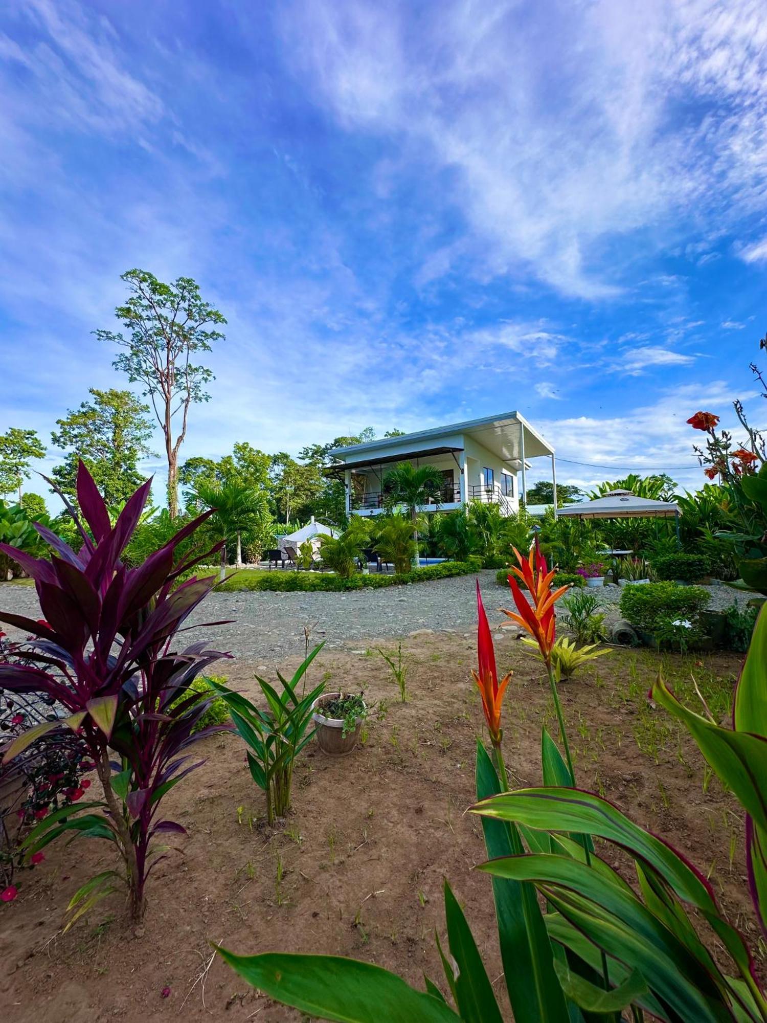 Oso Perezoso Pool Villa Puerto Viejo de Talamanca 외부 사진