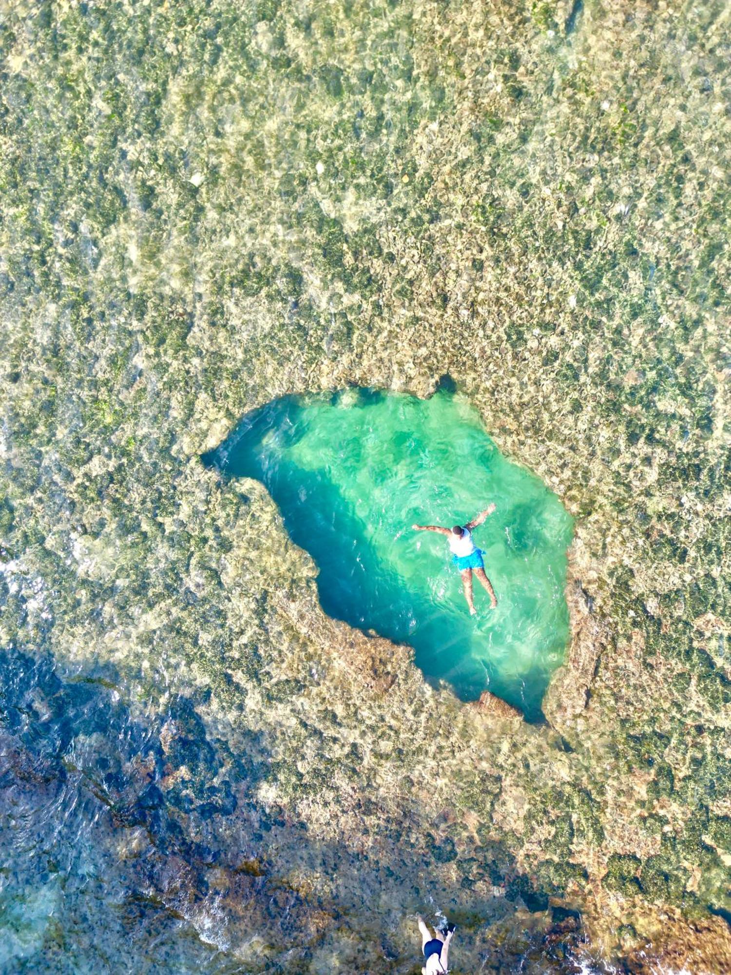 Oso Perezoso Pool Villa Puerto Viejo de Talamanca 외부 사진