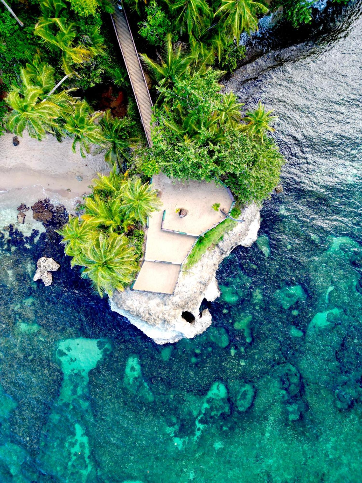 Oso Perezoso Pool Villa Puerto Viejo de Talamanca 외부 사진